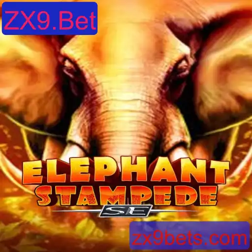 Explore a Aventura Selvagem de ElephantStampedeSE com ZX9.Bet